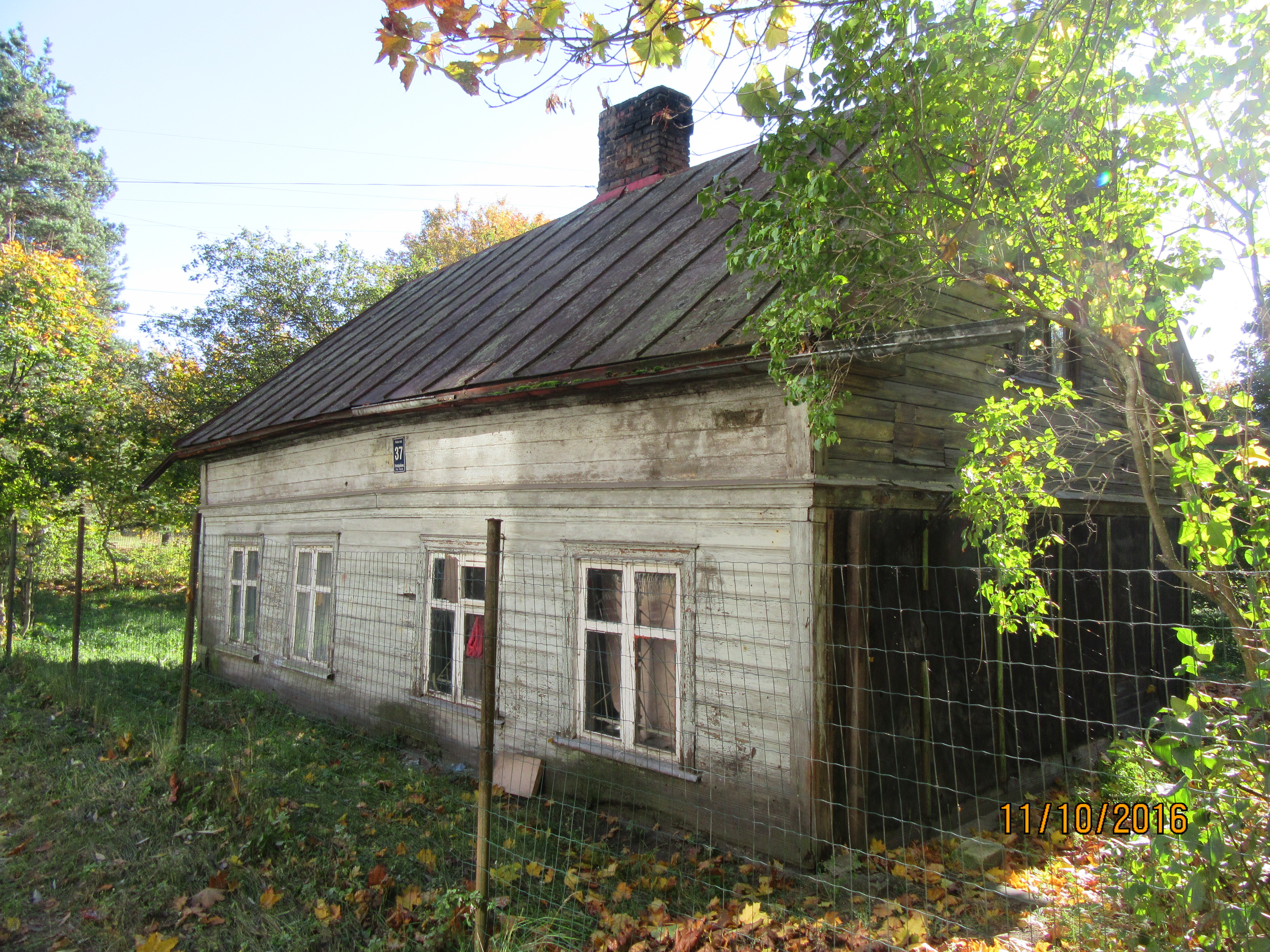 Putnu 37