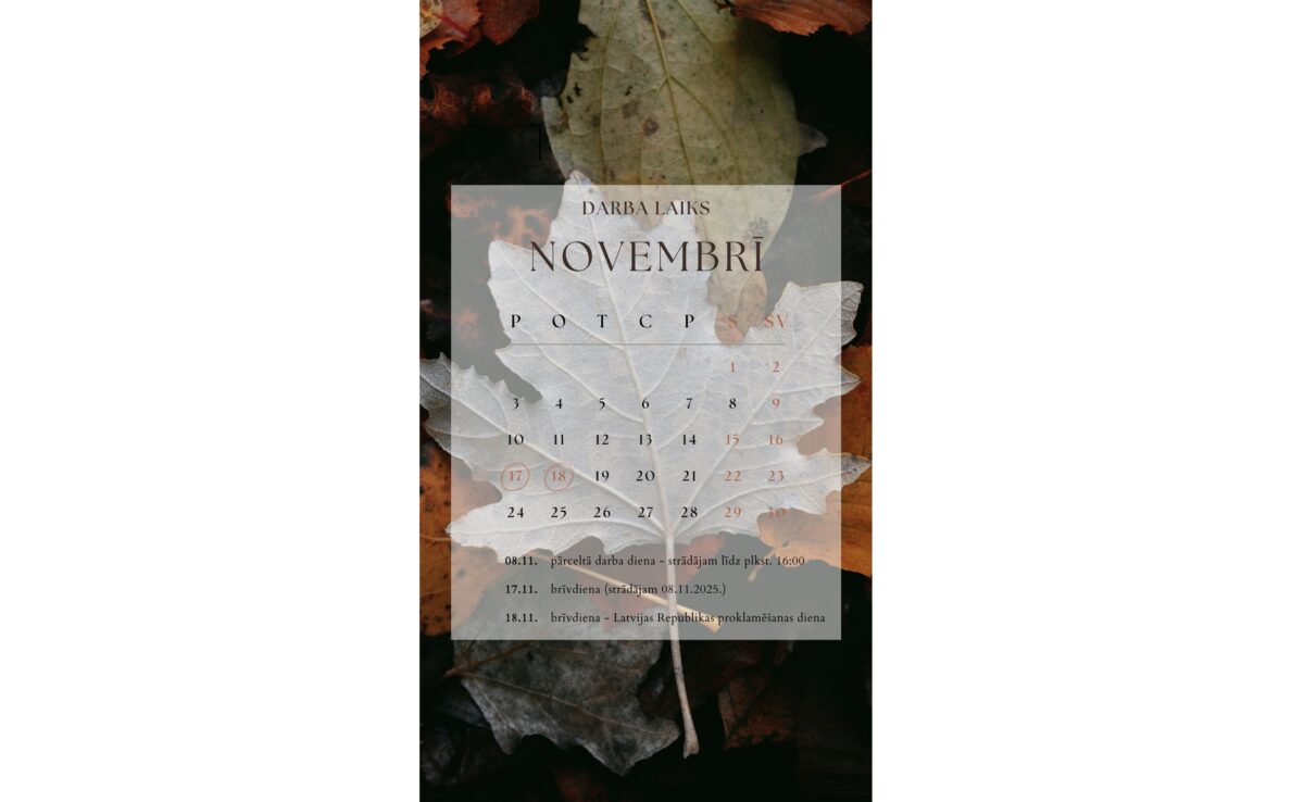 Darba laiks novembrī